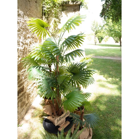 Palma a Ventaglio Artificiale EUROPALMS 130 cm - Decorazione Tropicale per Esterni