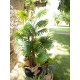 Palma a Ventaglio Artificiale EUROPALMS 130 cm - Decorazione Tropicale per Esterni
