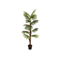 Palma a ventaglio artificiale EUROPALMS 155 cm per esterni - Decorazione tropicale