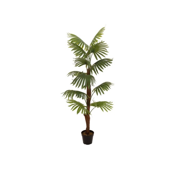 Palma a ventaglio artificiale EUROPALMS 155 cm per esterni - Decorazione tropicale