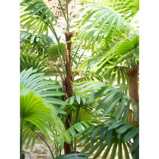 Palma a ventaglio artificiale EUROPALMS 155 cm per esterni - Decorazione tropicale