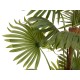 EUROPALMS Palma a Ventaglio Artificiale 165 cm con Effetto Realistico e Uso Esterno