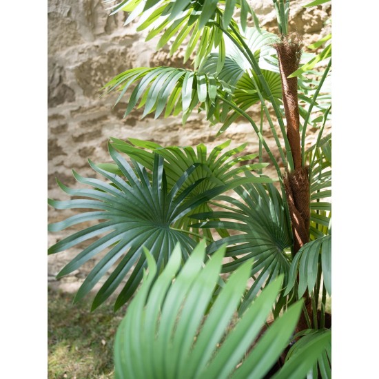 EUROPALMS Palma a Ventaglio Artificiale 165 cm con Effetto Realistico e Uso Esterno