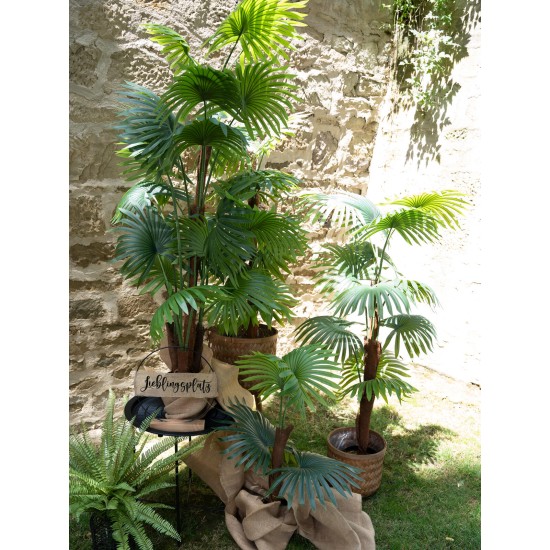EUROPALMS Palma a Ventaglio Artificiale 165 cm con Effetto Realistico e Uso Esterno