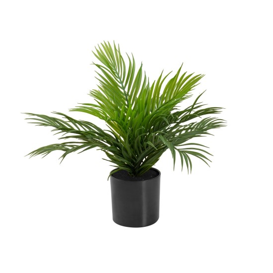 EUROPALMS Areca - Pianta Artificiale in PE, 46 cm, Ideale per Decorazioni Mediterranee