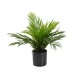 EUROPALMS Areca - Pianta Artificiale in PE, 46 cm, Ideale per Decorazioni Mediterranee