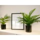 EUROPALMS Areca - Pianta Artificiale in PE, 46 cm, Ideale per Decorazioni Mediterranee