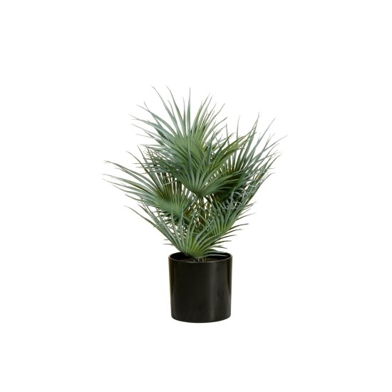EUROPALMS Palma a Ventaglio Artificiale 55 cm - Pianta Decorativa in PE con Fronde Realistiche