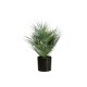 EUROPALMS Palma a Ventaglio Artificiale 55 cm - Pianta Decorativa in PE con Fronde Realistiche