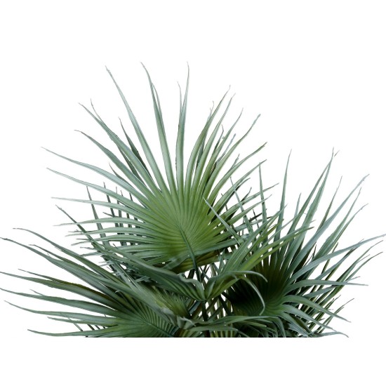 EUROPALMS Palma a Ventaglio Artificiale 55 cm - Pianta Decorativa in PE con Fronde Realistiche