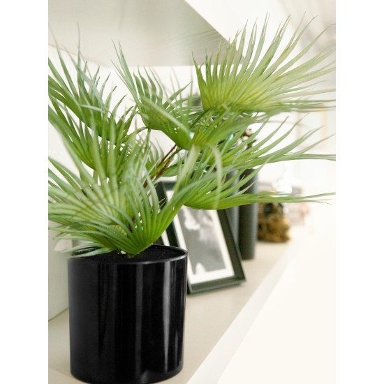 EUROPALMS Palma a Ventaglio Artificiale 55 cm - Pianta Decorativa in PE con Fronde Realistiche