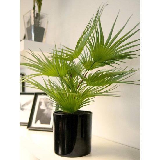 EUROPALMS Palma a Ventaglio Artificiale 55 cm - Pianta Decorativa in PE con Fronde Realistiche