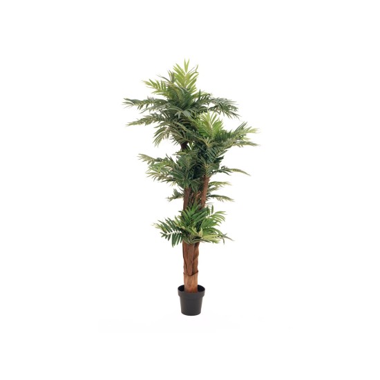 EUROPALMS Palma Areca Artificiale 170 cm con Tronco in Fibra e Foglie Realistiche