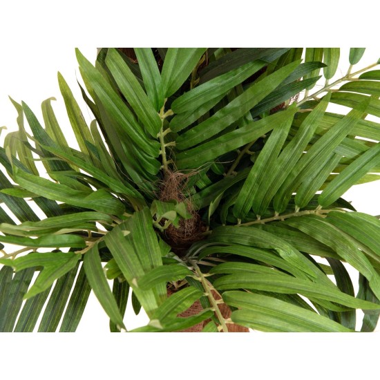 EUROPALMS Palma Areca Artificiale 170 cm con Tronco in Fibra e Foglie Realistiche
