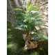 EUROPALMS Palma di Areca Artificiale, 2 Tronchi, 120 cm - Decorazione Verde per Interni ed Esterni