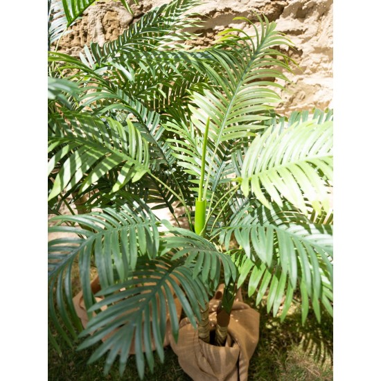 EUROPALMS Palma di Areca Artificiale, 2 Tronchi, 120 cm - Decorazione Verde per Interni ed Esterni