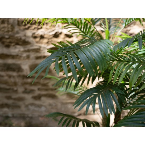 Pianta Artificiale Palma di Areca EUROPALMS, 3 Tronchi, 150 cm, Verde Realistico