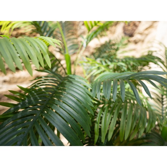 Pianta Artificiale Palma di Areca EUROPALMS, 3 Tronchi, 150 cm, Verde Realistico