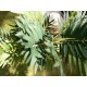 Palma Areca Artificiale EUROPALMS 110cm - Pianta Decorativa di Alta Qualità