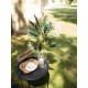 Palma Areca Artificiale EUROPALMS 110cm - Pianta Decorativa di Alta Qualità