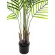EUROPALMS Areca a Foglie Grandi 125 cm - Pianta Artificiale per Decorazione Interna ed Esterna