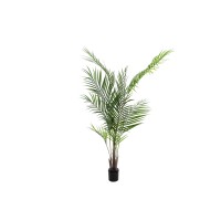 EUROPALMS Palma di Betel Artificiale, Foglie Grandi, 165 cm - Decorazione Tropicale per Interni ed Esterni