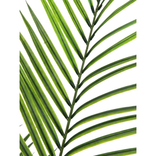 EUROPALMS Palma di Betel Artificiale, Foglie Grandi, 165 cm - Decorazione Tropicale per Interni ed Esterni