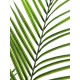 EUROPALMS Palma di Betel Artificiale, Foglie Grandi, 165 cm - Decorazione Tropicale per Interni ed Esterni