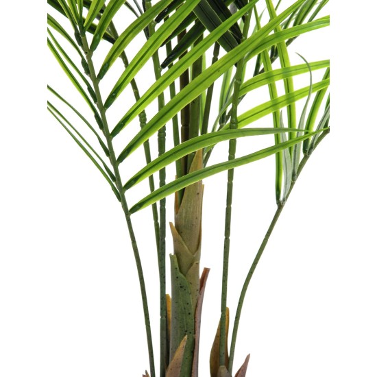 EUROPALMS Palma di Betel Artificiale, Foglie Grandi, 165 cm - Decorazione Tropicale per Interni ed Esterni