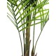 EUROPALMS Palma di Betel Artificiale, Foglie Grandi, 165 cm - Decorazione Tropicale per Interni ed Esterni