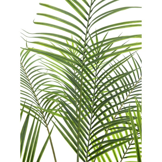 EUROPALMS Areca: Pianta Artificiale a Foglie Grandi, 185 cm - Palma di Betel Realistica per Esterni