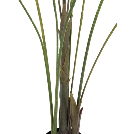 EUROPALMS Areca: Pianta Artificiale a Foglie Grandi, 185 cm - Palma di Betel Realistica per Esterni