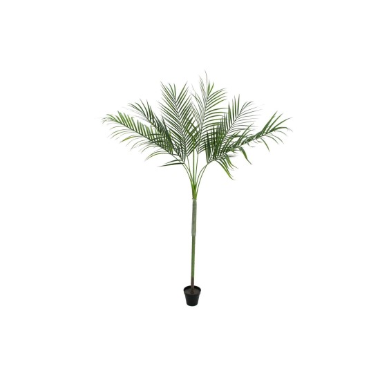 EUROPALMS Areca Deluxe - Palma Artificiale 180cm per Interni ed Esterni | Montaggio Facile