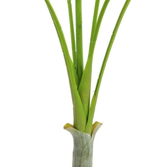 EUROPALMS Areca Deluxe - Palma Artificiale 180cm per Interni ed Esterni | Montaggio Facile