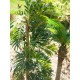 EUROPALMS Palma Parlour Artificiale 150 cm - Pianta Decorativa Verde Realistica