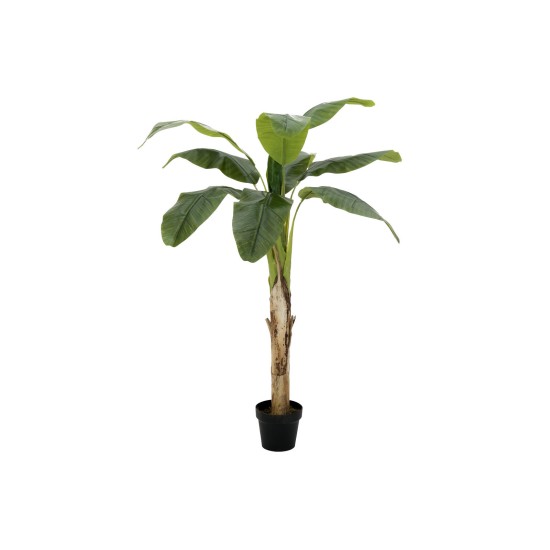 Pianta Artificiale Banano EUROPALMS 145 cm - Decorazione Tropicale per Interni ed Esterni