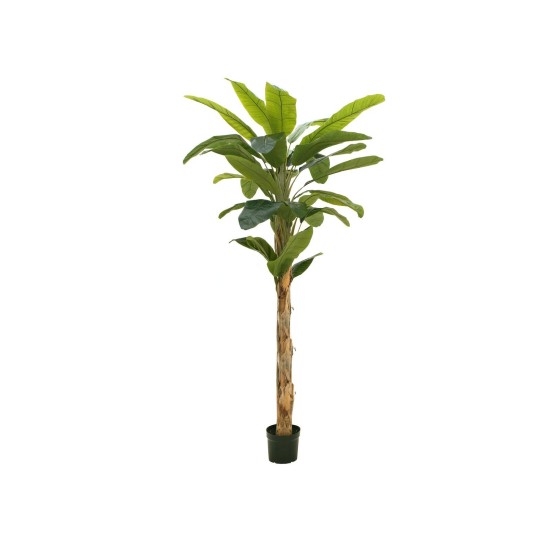 EUROPALMS Banano Artificiale 210 cm - Pianta Decorativa con Tronco Naturale