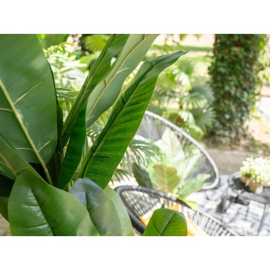 EUROPALMS Banano Artificiale 210 cm - Pianta Decorativa con Tronco Naturale
