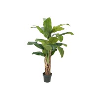 Pianta artificiale EUROPALMS Banano 120 cm - Foglie realistiche in PEVA