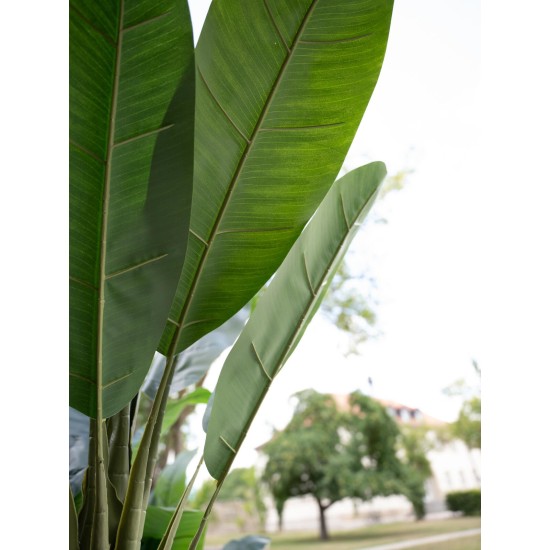 Pianta artificiale EUROPALMS Banano 120 cm - Foglie realistiche in PEVA