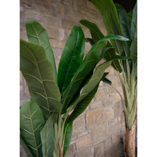 Pianta artificiale EUROPALMS Banano 120 cm - Foglie realistiche in PEVA