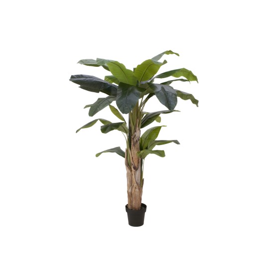 Pianta Artificiale Banano EUROPALMS 170 cm - Decorazione Tropicale per Interni ed Esterni