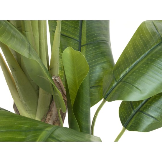 Pianta Artificiale Banano EUROPALMS 170 cm - Decorazione Tropicale per Interni ed Esterni