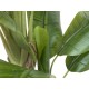 Pianta Artificiale Banano EUROPALMS 170 cm - Decorazione Tropicale per Interni ed Esterni