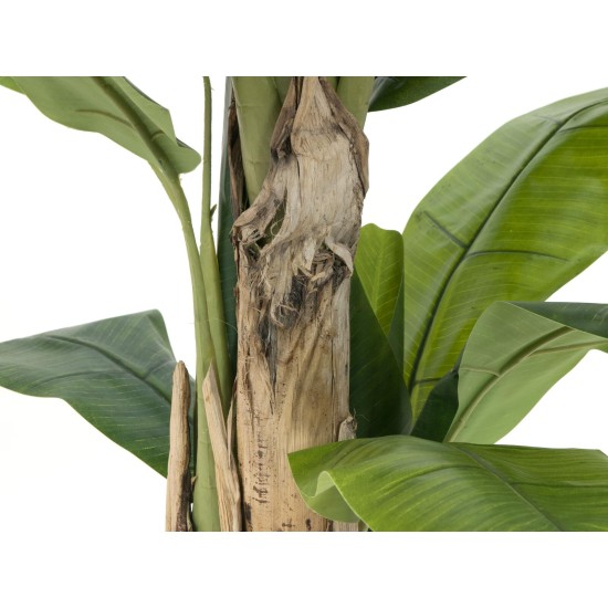 Pianta Artificiale Banano EUROPALMS 170 cm - Decorazione Tropicale per Interni ed Esterni