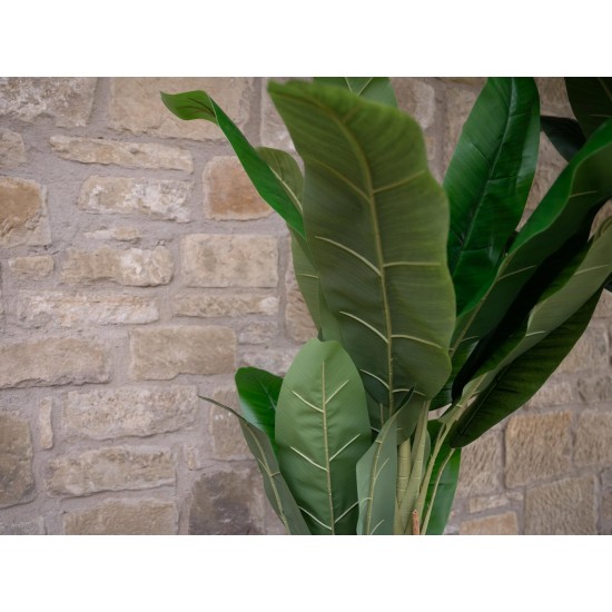 Pianta Artificiale Banano EUROPALMS 170 cm - Decorazione Tropicale per Interni ed Esterni