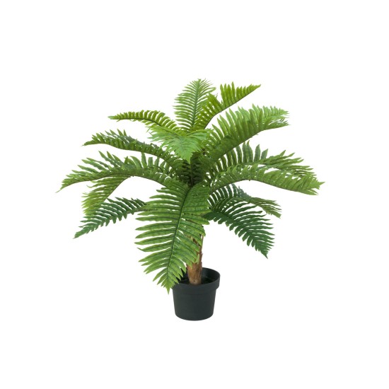 EUROPALMS Palma Cycas Artificiale 70 cm - Pianta Decorativa in PEVA per Interni ed Esterni