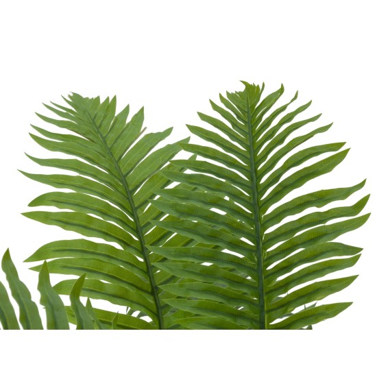 EUROPALMS Palma Cycas Artificiale 70 cm - Pianta Decorativa in PEVA per Interni ed Esterni