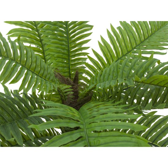 EUROPALMS Palma Cycas Artificiale 70 cm - Pianta Decorativa in PEVA per Interni ed Esterni