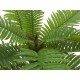 EUROPALMS Palma Cycas Artificiale 70 cm - Pianta Decorativa in PEVA per Interni ed Esterni